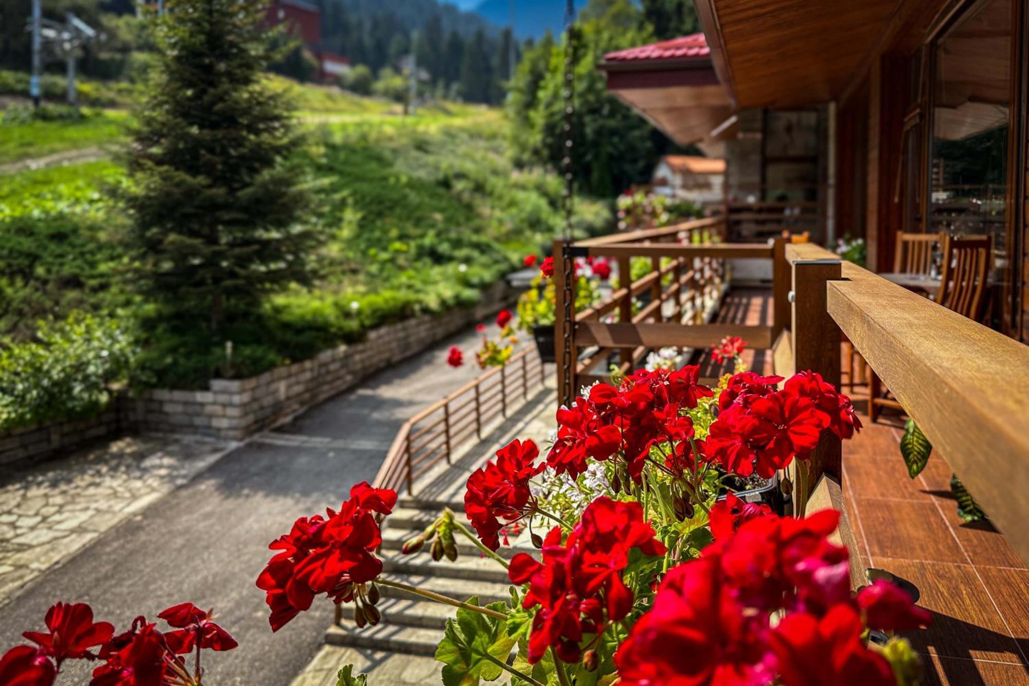 Musala Hotel Borovec Kültér fotó